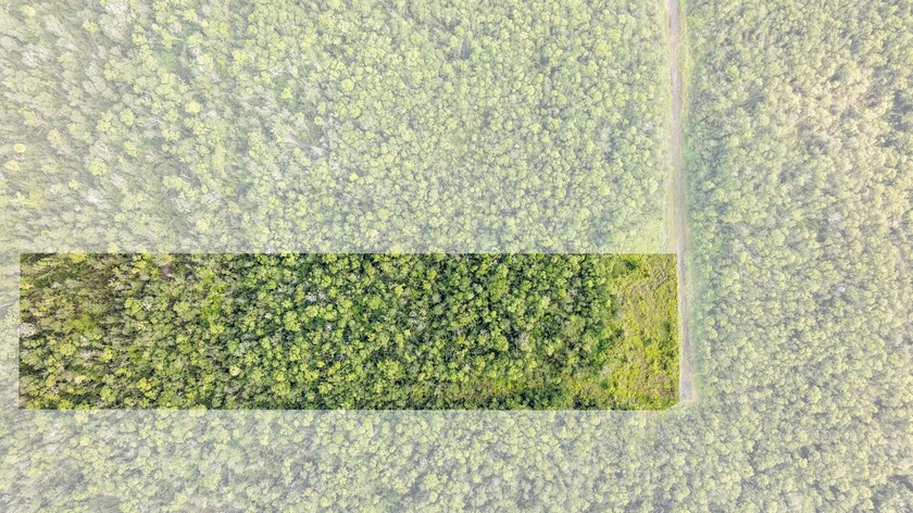 Peaceful 3.2-Acre Agricultural Haven in Mokihana Farm Lots - - Beach Acreage for sale in Mountain View, Hawaii on Beachhouse.com