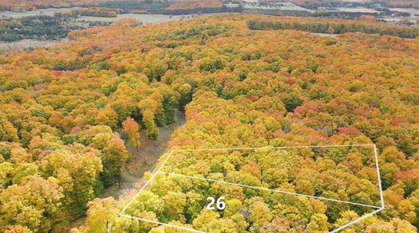 Lot 26 of Harbor Ridge consists of 1.34 acres of hardwood forest - Beach Lot for sale in Harbor Springs, Michigan on Beachhouse.com