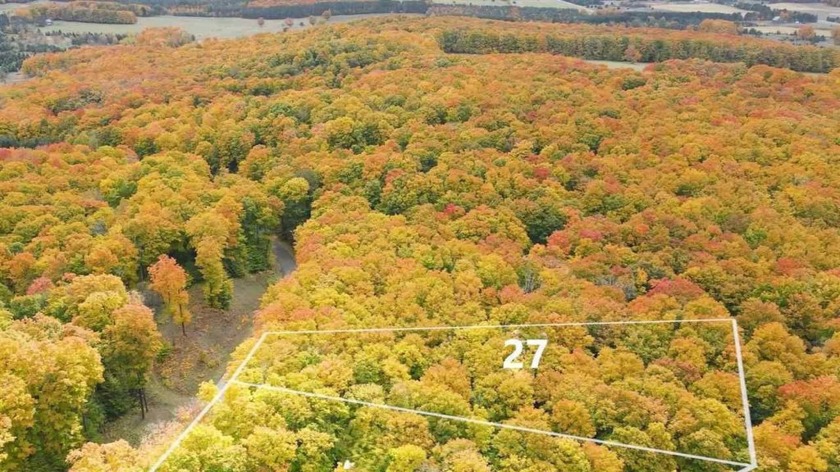 Lot 27 of Harbor Ridge is a private, elevated building site. 1.8 - Beach Lot for sale in Harbor Springs, Michigan on Beachhouse.com