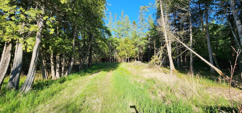 Build your dream getaway or enjoy it now--this ready-to-go lot - Beach Lot for sale in Hessel, Michigan on Beachhouse.com