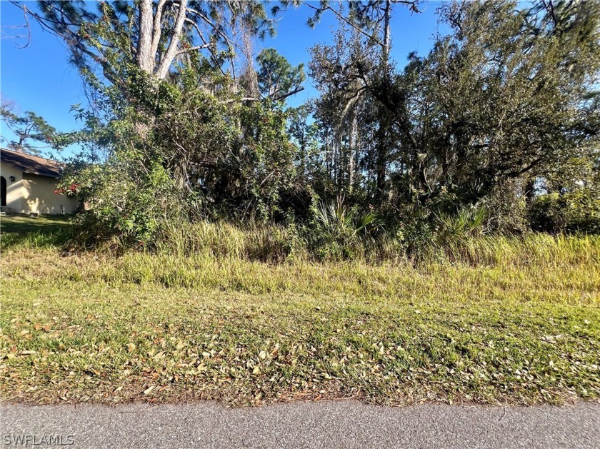 Beautiful lot with access to the Myakka River. Boat, fish and - Beach Lot for sale in Port Charlotte, Florida on Beachhouse.com