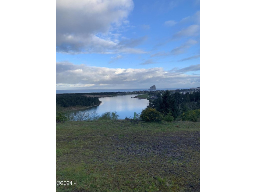 Build your dream home on this gorgeous lot with dramatic and - Beach Lot for sale in Pacific City, Oregon on Beachhouse.com