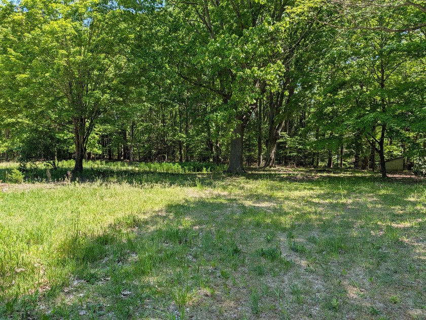 Beautiful sandy wooded building site. Close to golf course down - Beach Lot for sale in Saugatuck, Michigan on Beachhouse.com