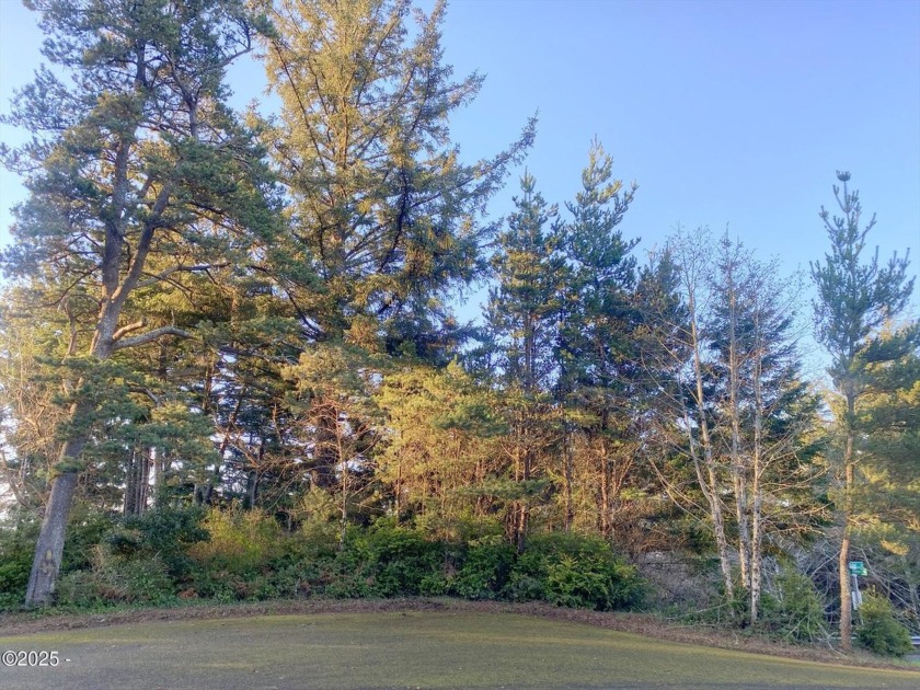 Come build your dream home on a .26 acre lot. A playground - Beach Lot for sale in Waldport, Oregon on Beachhouse.com