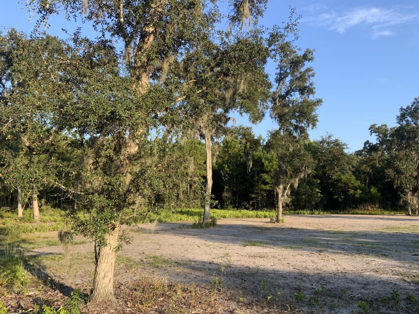 Here's a rare opportunity to own 9 acres of scenic Lowcountry - Beach Acreage for sale in Saint Helena Island, South Carolina on Beachhouse.com
