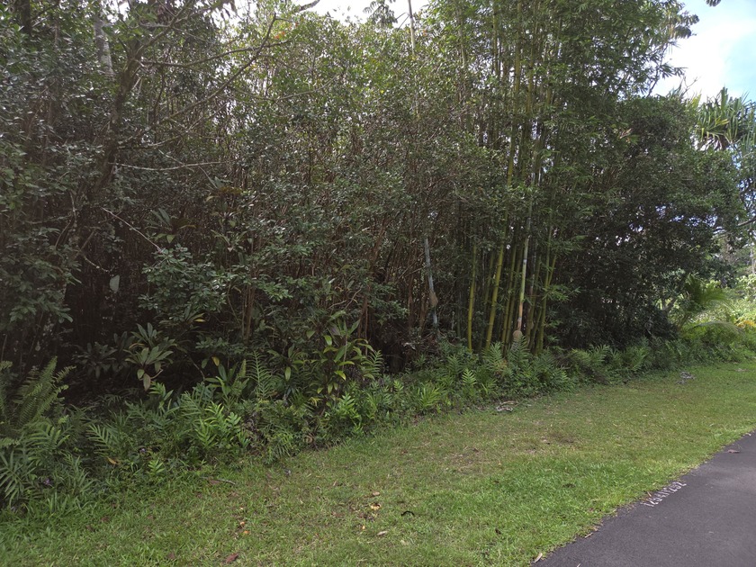 This is a prime building lot in Hawaiian Shores Recreational - Beach Lot for sale in Pahoa, Hawaii on Beachhouse.com