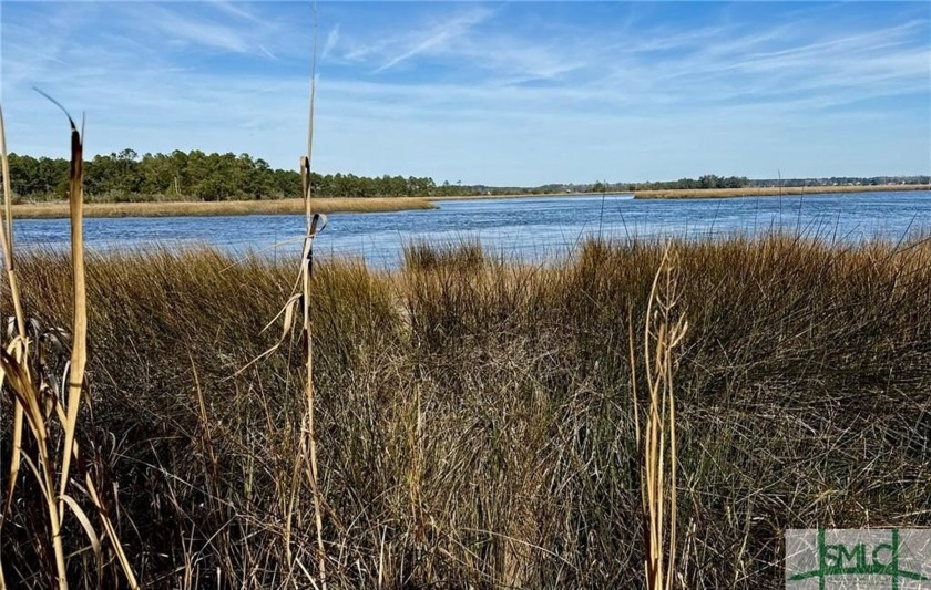 Lot 58 Jerico Marsh Road - Beach Lot for sale in Midway, Georgia on Beachhouse.com