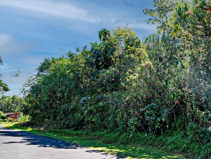 Two adjoining 9,100 square foot lots on N Opihi Street over 18 - Beach Lot for sale in Pahoa, Hawaii on Beachhouse.com