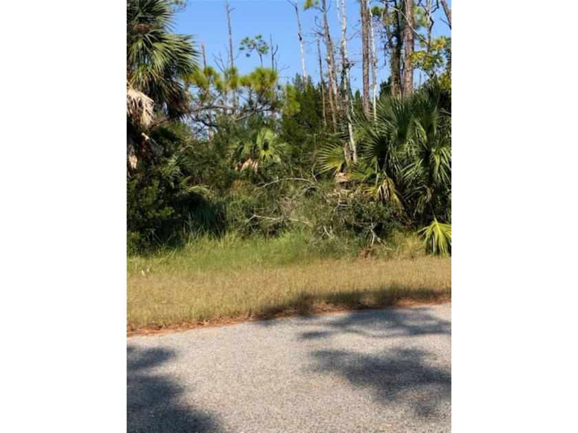 Build your dream or future investment home in the beautiful St - Beach Lot for sale in Eastpoint, Florida on Beachhouse.com