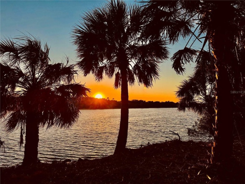 Just listed! SPECTACULAR SUNSETS FOREVER!!!! The WESTERN BANK OF - Beach Lot for sale in Ormond Beach, Florida on Beachhouse.com