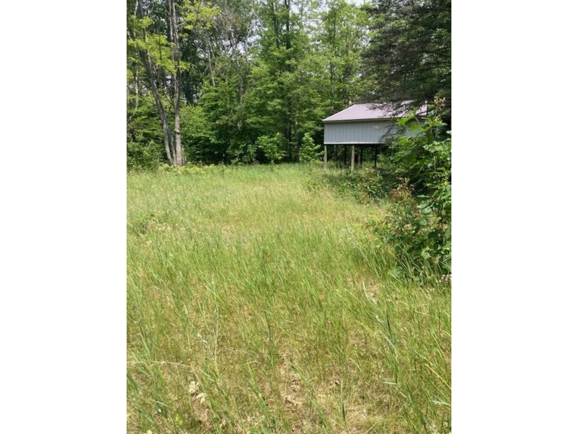 Motivated seller for this1.5 acres of mostly vacant land with - Beach Lot for sale in Carp Lake, Michigan on Beachhouse.com