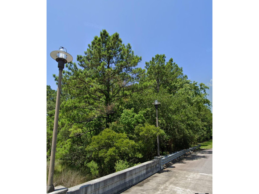 Sportsman Island Drive offers a highly convenient location - Beach Lot for sale in Wando, South Carolina on Beachhouse.com