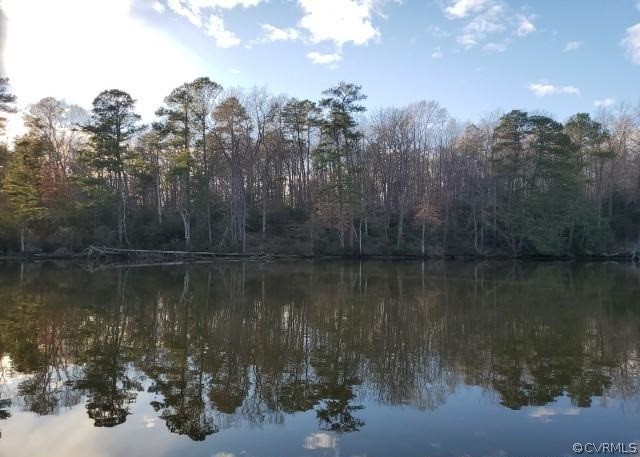 Picture your waterfront home here, 14.41 acres on Totuskey Creek - Beach Acreage for sale in Warsaw, Virginia on Beachhouse.com