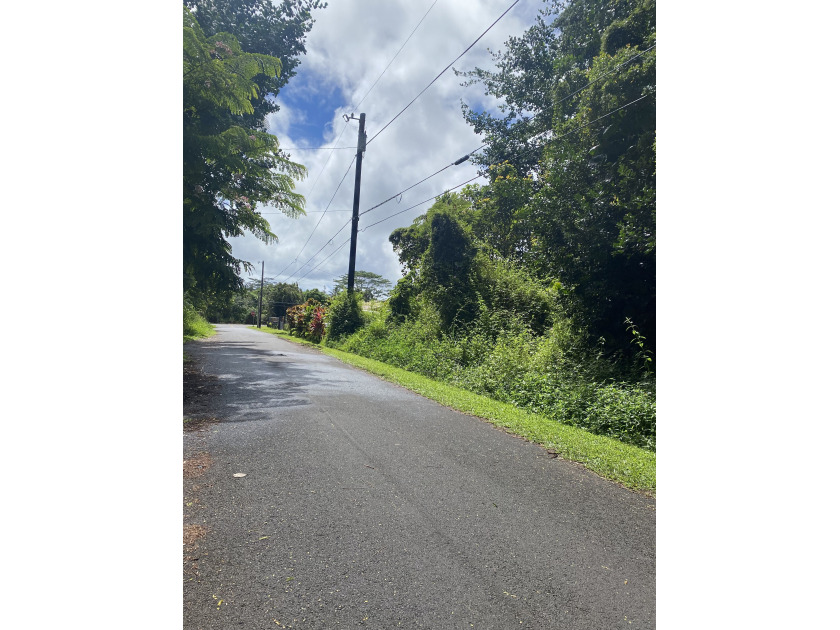 Beautiful wooded lot available in Hawaiian Parks Subdivision - Beach Lot for sale in Pahoa, Hawaii on Beachhouse.com