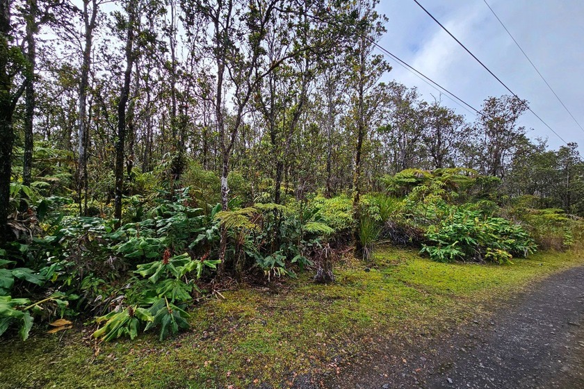Discover your own private sanctuary on this pristine 3-acre lot - Beach Acreage for sale in Volcano, Hawaii on Beachhouse.com