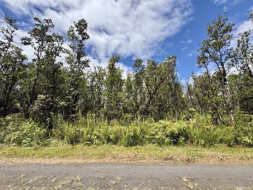 Nicely wooded 1-acre parcel located on Alapua Street in Eden - Beach Lot for sale in Mountain View, Hawaii on Beachhouse.com
