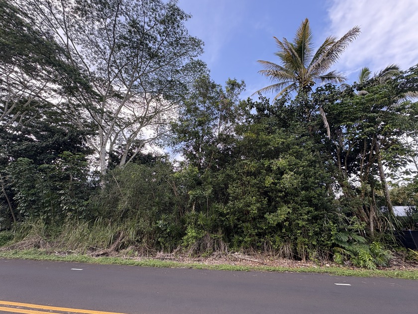 Fantastic opportunity to own vacant land on Kahakai Blvd-an - Beach Lot for sale in Pahoa, Hawaii on Beachhouse.com