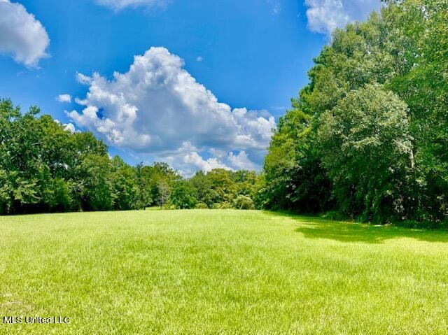 THIS ONE ACRE PARCEL CAN BE SPLIT INTO 4 LOTS WITH A DUPLEX ON - Beach Lot for sale in D Iberville, Mississippi on Beachhouse.com