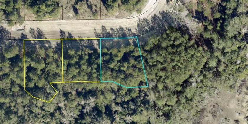 Great opportunity in Bridge Pointe, a future water and boating - Beach Lot for sale in Waverly, Georgia on Beachhouse.com