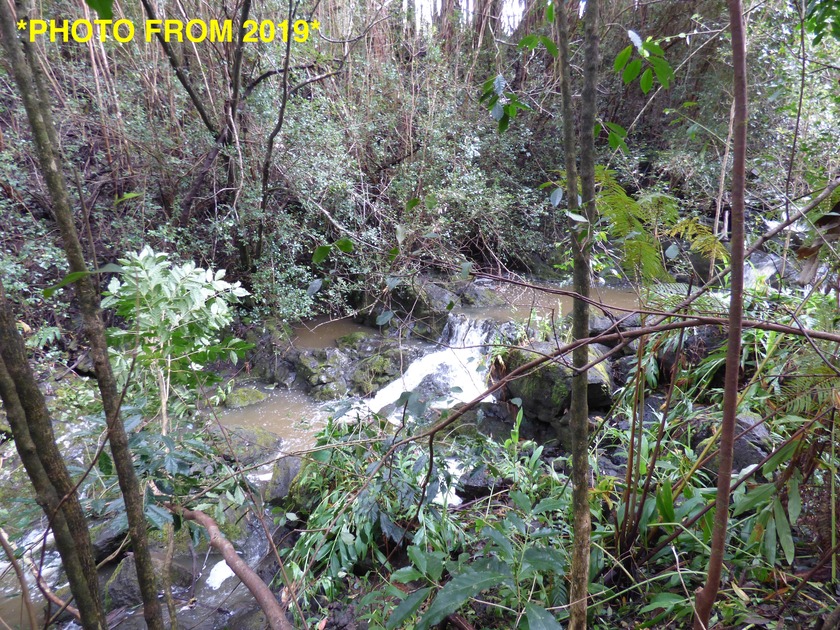 Beautiful 2-acre CPR parcel in Ahualoa Homesteads with easy - Beach Acreage for sale in Honokaa, Hawaii on Beachhouse.com