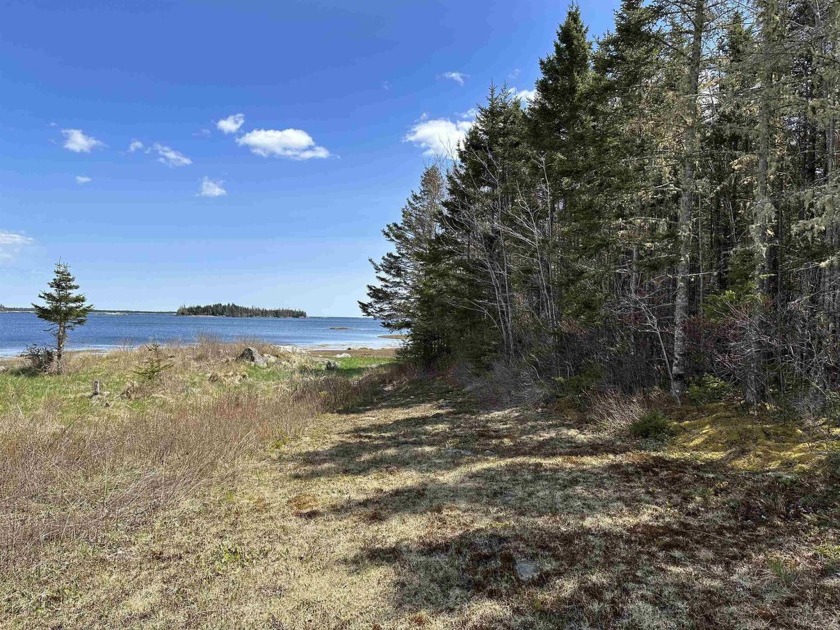 Approved oceanfront building lot located on a quiet road with a - Beach Lot for sale in Lydgate,  on Beachhouse.com