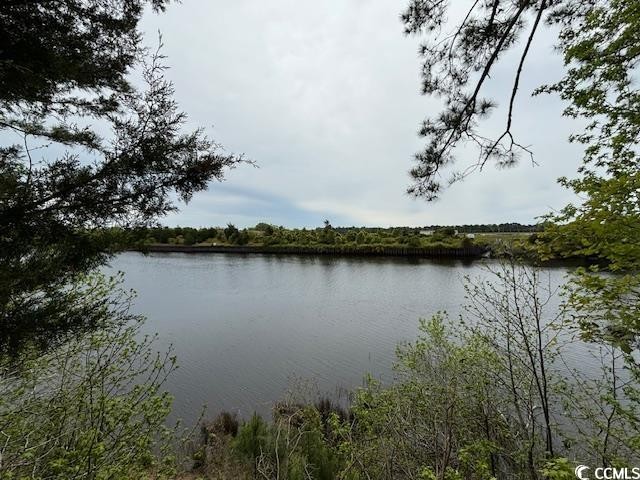 Cypress Cove is a 28-acre private preserve perfect for someone - Beach Acreage for sale in North Myrtle Beach, South Carolina on Beachhouse.com