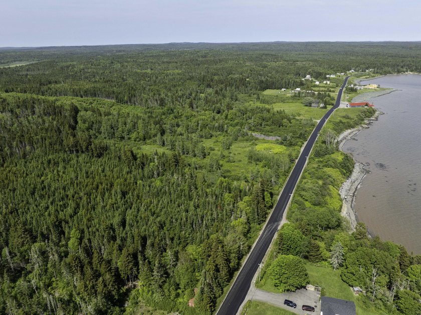 Step into a timeless landscape where the forest meets the sea - Beach Acreage for sale in Whiting, Maine on Beachhouse.com