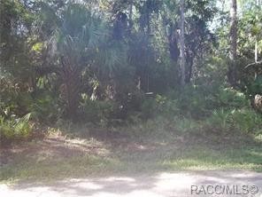 Own a piece of Old Florida on this 1.27-acre wooded lot in Cason - Beach Lot for sale in Inglis, Florida on Beachhouse.com