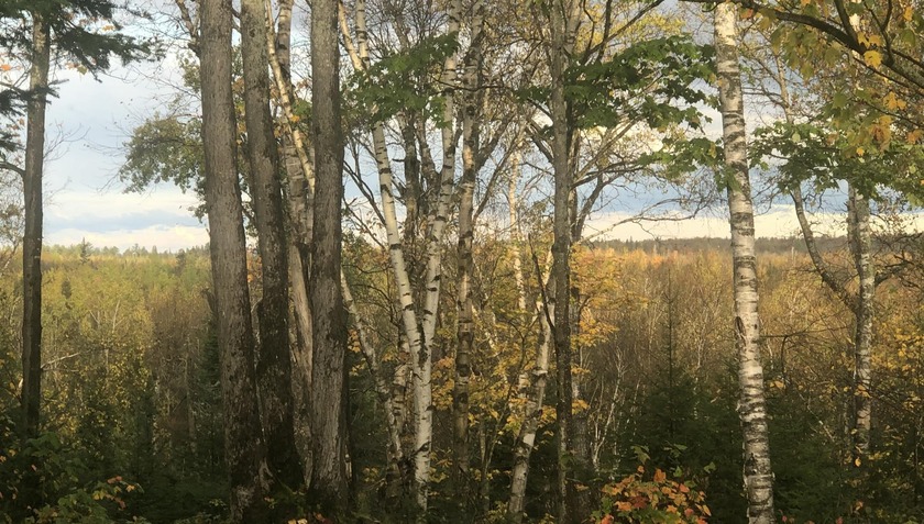This wooded bluff lot offers breathtaking views of Izaak Walton - Beach Lot for sale in Sault Sainte Marie, Michigan on Beachhouse.com