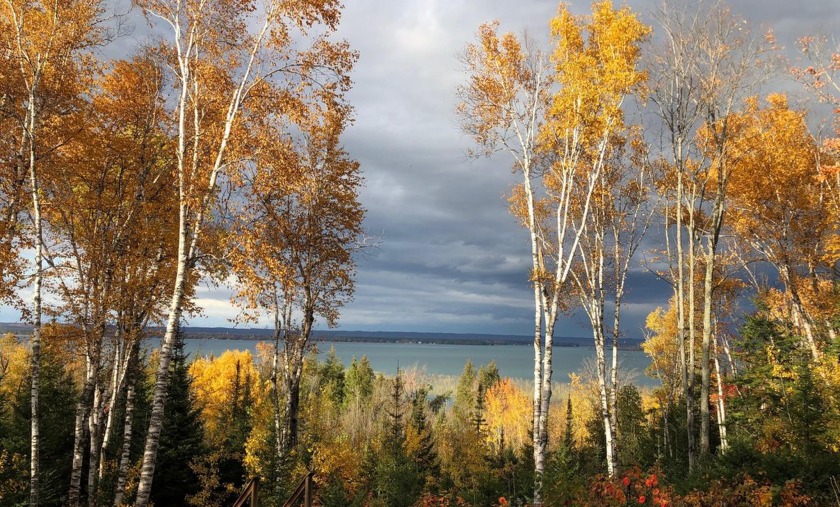 This wooded bluff lot offers breathtaking views of Izaak Walton - Beach Lot for sale in Sault Sainte Marie, Michigan on Beachhouse.com