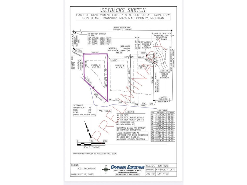 Secluded 1.1 acres and 256' of waterfront on Lake Huron await! - Beach Lot for sale in Bois Blanc Island, Michigan on Beachhouse.com