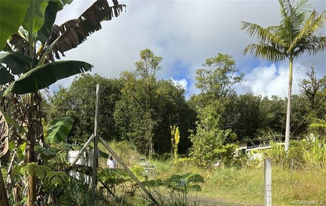 Vacant Lot  on dead end. mostly cleared and leveled, ready to - Beach Lot for sale in Mountain View, Hawaii on Beachhouse.com