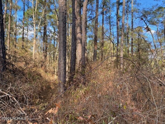 Nice building lot with water views of the Pamlico River in the - Beach Lot for sale in Belhaven, North Carolina on Beachhouse.com