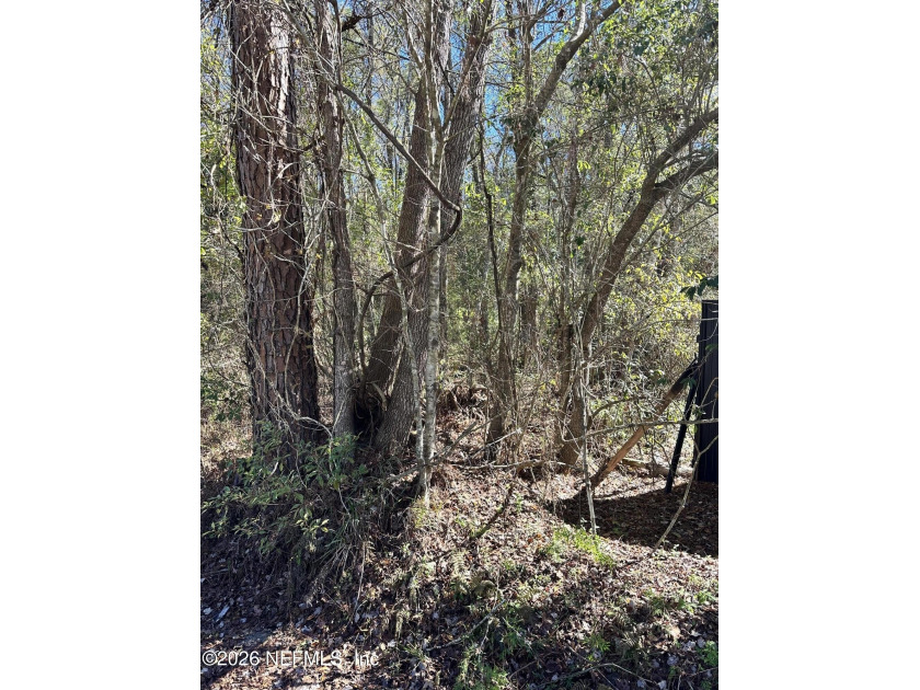 This is a unique piece of property with several possibilities - Beach Acreage for sale in Jacksonville, Florida on Beachhouse.com