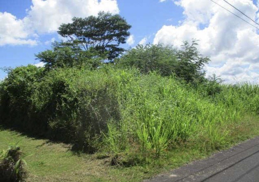 Discover the possibilities with this peaceful vacant lot located - Beach Lot for sale in Mountain View, Hawaii on Beachhouse.com
