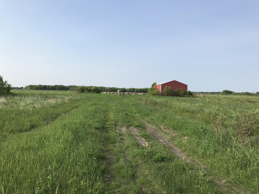 This Exceptional 80 acre parcel offers a combination of - Beach Acreage for sale in Sault Sainte Marie, Michigan on Beachhouse.com