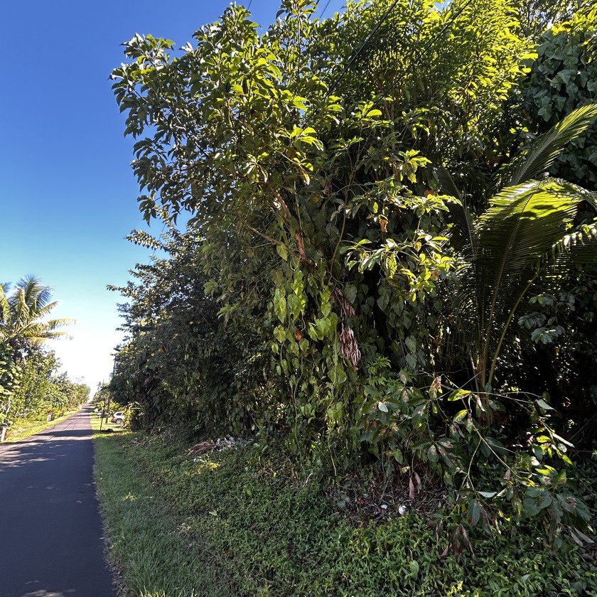 One of three Adjacent Lots in Hawaiian Beaches to be sold - Beach Lot for sale in Pahoa, Hawaii on Beachhouse.com