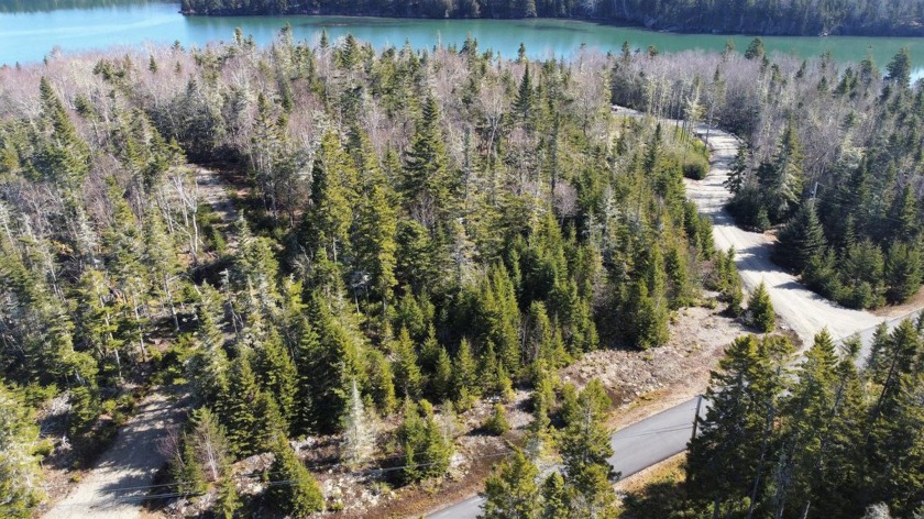 2.1 oceanfront acres at beautiful Yoho Head in Machiasport - Beach Acreage for sale in Machiasport, Maine on Beachhouse.com