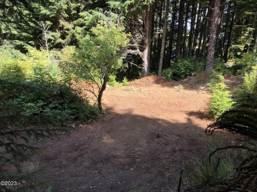 Beautiful forested lot with Septic site approval.  Larger lot is - Beach Lot for sale in Yachats, Oregon on Beachhouse.com