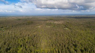 Discover the ideal blend of seclusion and convenience on this - Beach Acreage for sale in Mountain View, Hawaii on Beachhouse.com