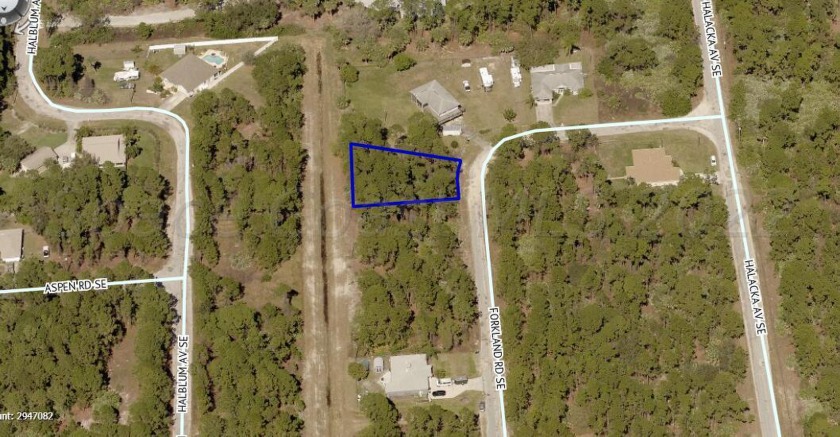 27 Acre lot, nice size bigger then the standard . 23 acres - Beach Lot for sale in Palm Bay, Florida on Beachhouse.com