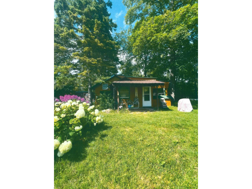 Escape to this rustic 1-bedroom retreat on the Pine River, where - Beach Home for sale in Hessel, Michigan on Beachhouse.com