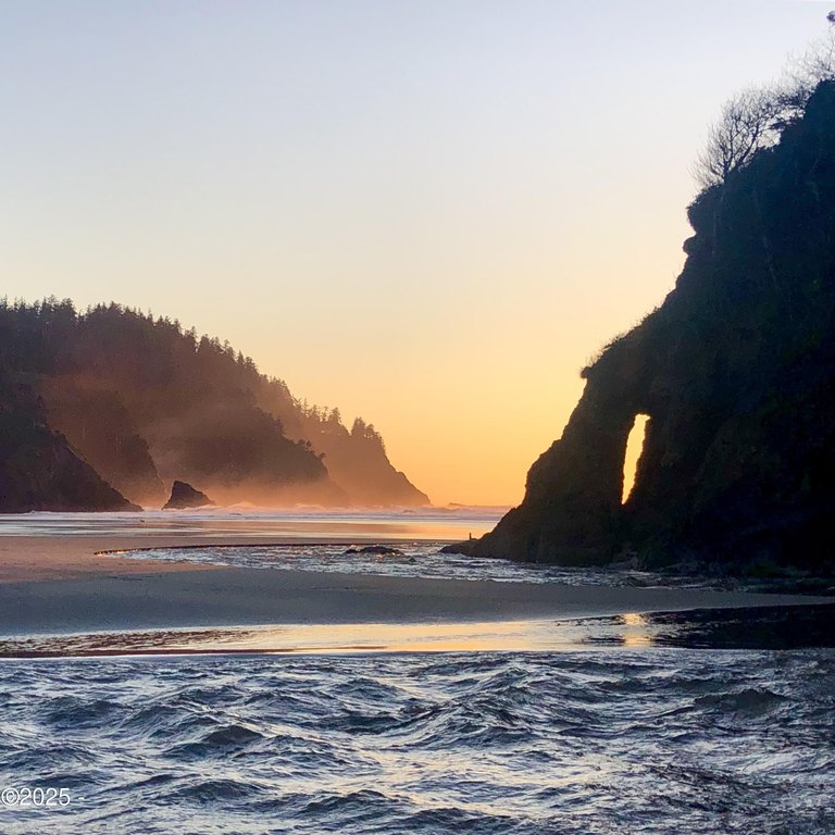 Vacation Rental Condo in Neskowin! Welcome to your coastal - Beach Condo for sale in Neskowin, Oregon on Beachhouse.com