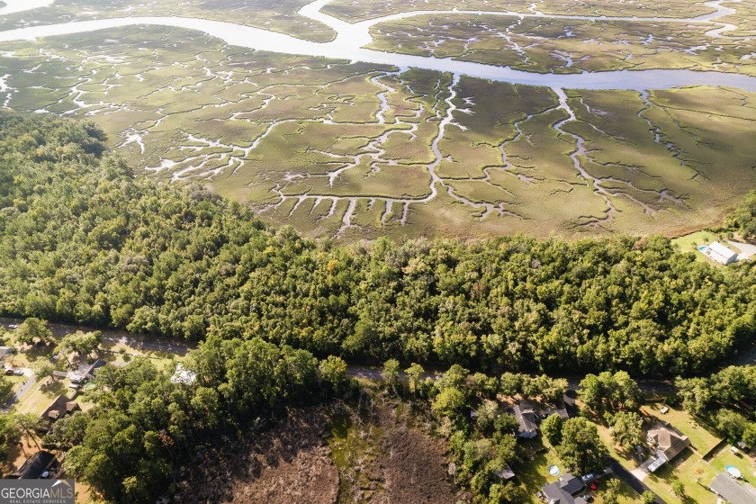 OVER FIVE ACRES OF EXCEPTIONAL WATERFRONT PROPERTY FEATURING 1 - Beach Acreage for sale in Woodbine, Georgia on Beachhouse.com