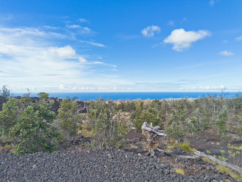 Enjoy spectacular ocean and coastline views from this 3-acre - Beach Acreage for sale in Naalehu, Hawaii on Beachhouse.com