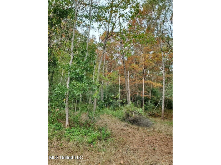 Great building lot on water - Beach Lot for sale in Gautier, Mississippi on Beachhouse.com