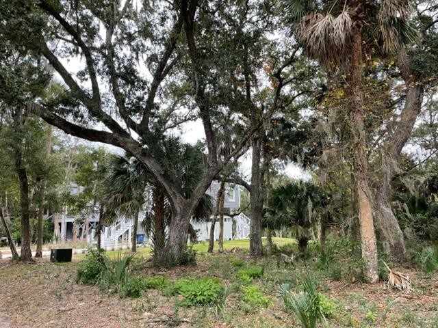Here is your chance to own a great lot for your Edisto Beach - Beach Lot for sale in Edisto Island, South Carolina on Beachhouse.com