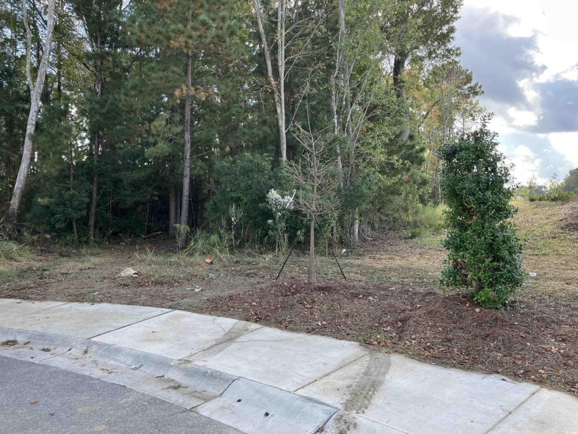 13+ acres development property.  Great price per acre on raw - Beach Acreage for sale in Myrtle Beach, South Carolina on Beachhouse.com