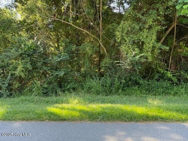 Residential building lot in the Montpelier section of Cape - Beach Lot for sale in Edenton, North Carolina on Beachhouse.com