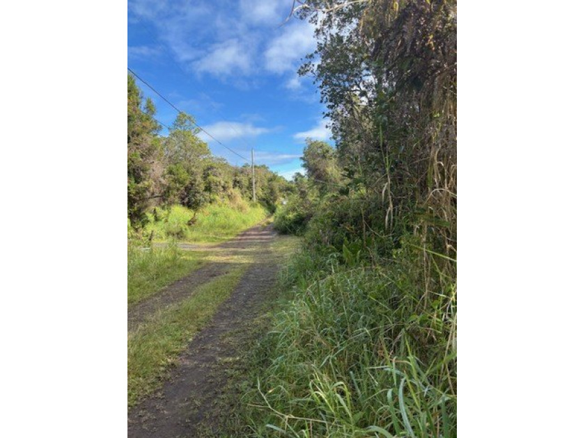 Affordable wooded lot in cooler Mt.View. Property is Close to Mt - Beach Lot for sale in Mountain View, Hawaii on Beachhouse.com